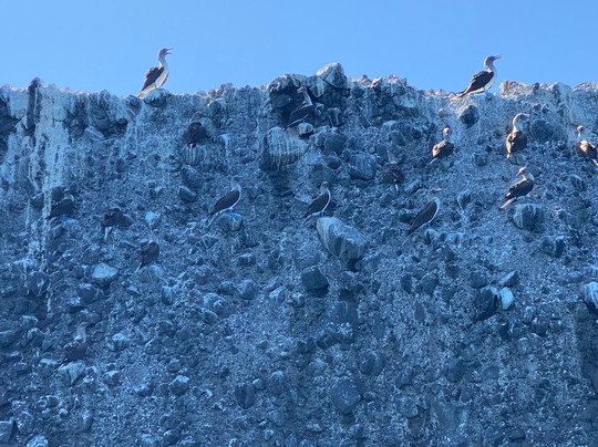 Baja Sur Tours-拉巴斯必去景点