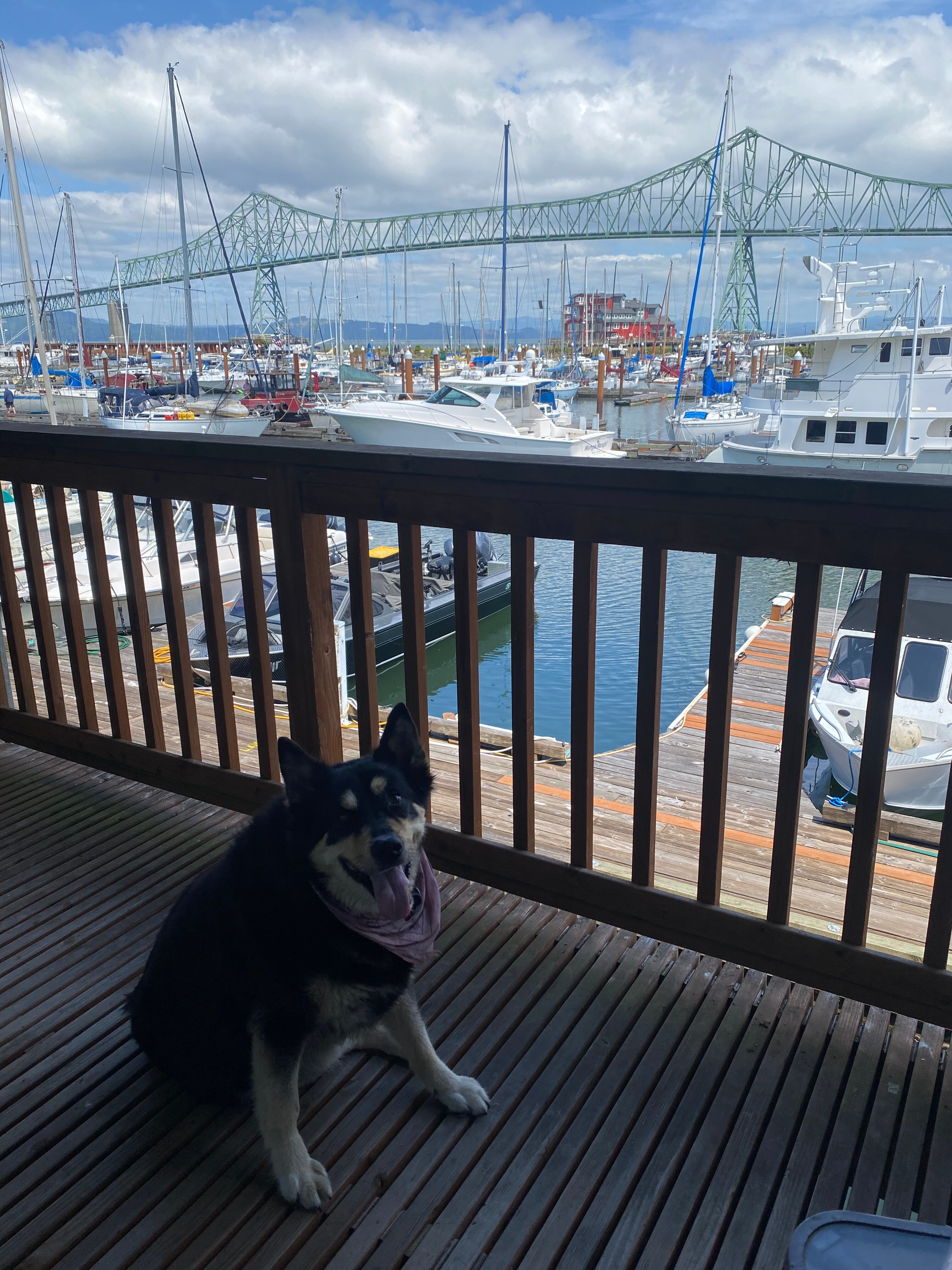 Astoria Riverwalk Inn-酒店景观