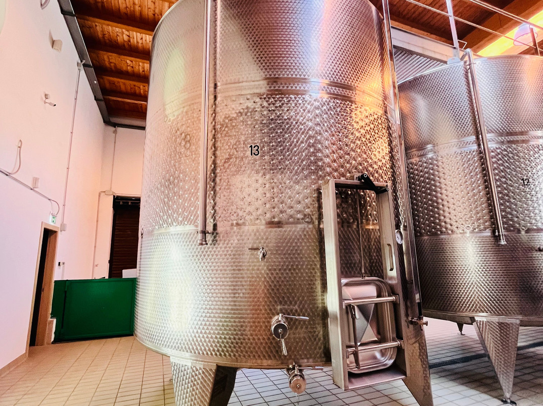 Jorche Winery-Torricella必去景点