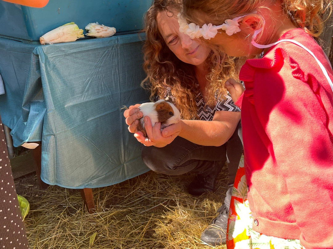 La Maison du Bonheur主图