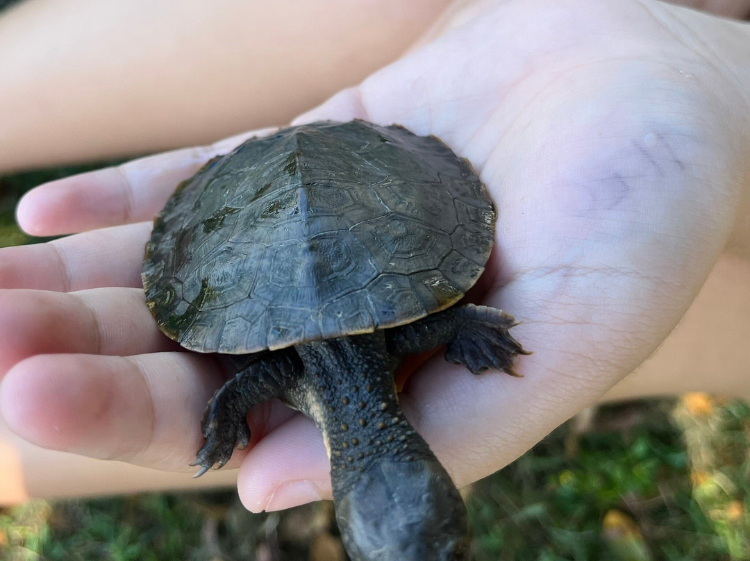 TYTO Wetlands-Ingham必去景点