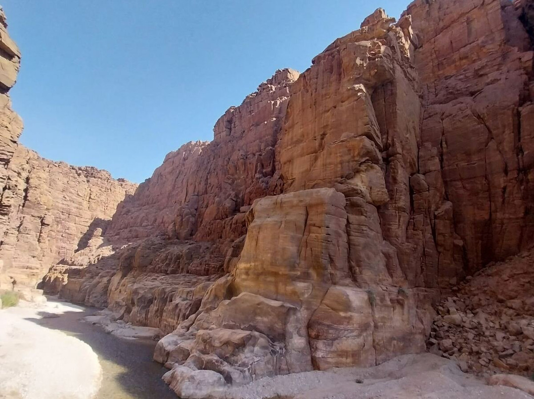 Petra Magics | Tours and Transportation in Jordan景点图片