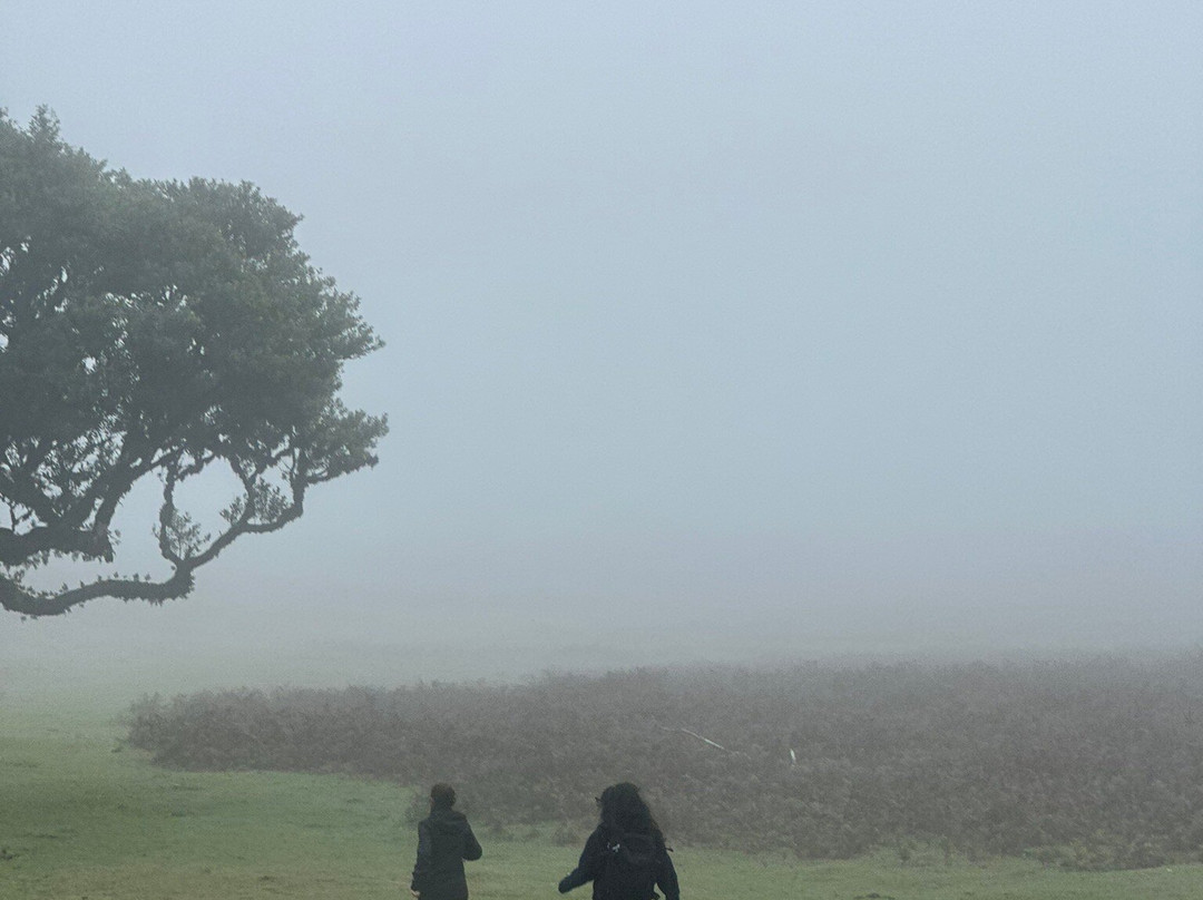 Madeira Trekking On Demand-沙尔必去景点
