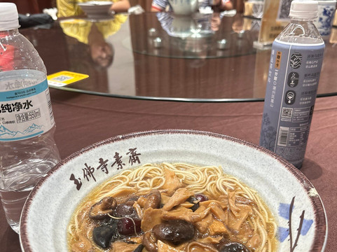 Shanghai Airport Layover Tour-上海市必去景点