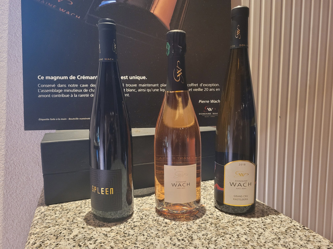 Domaine Wach景点图片