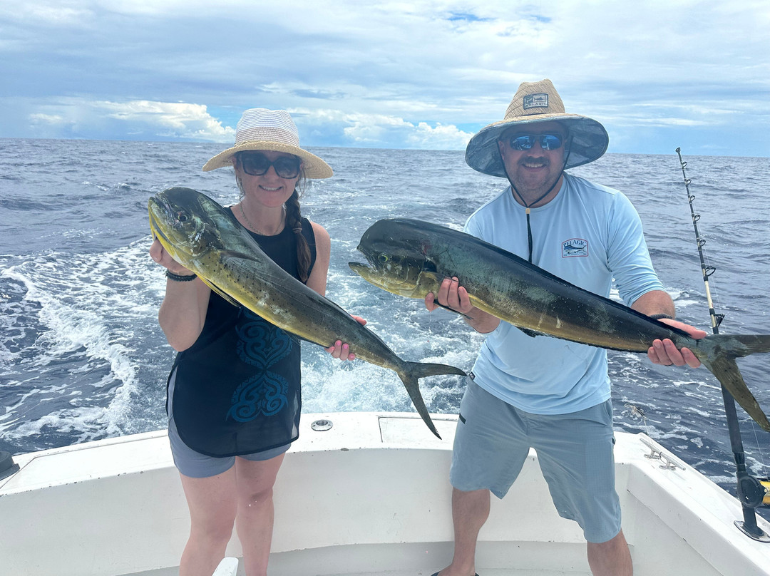 Flamingo Sportfishing CR景点图片