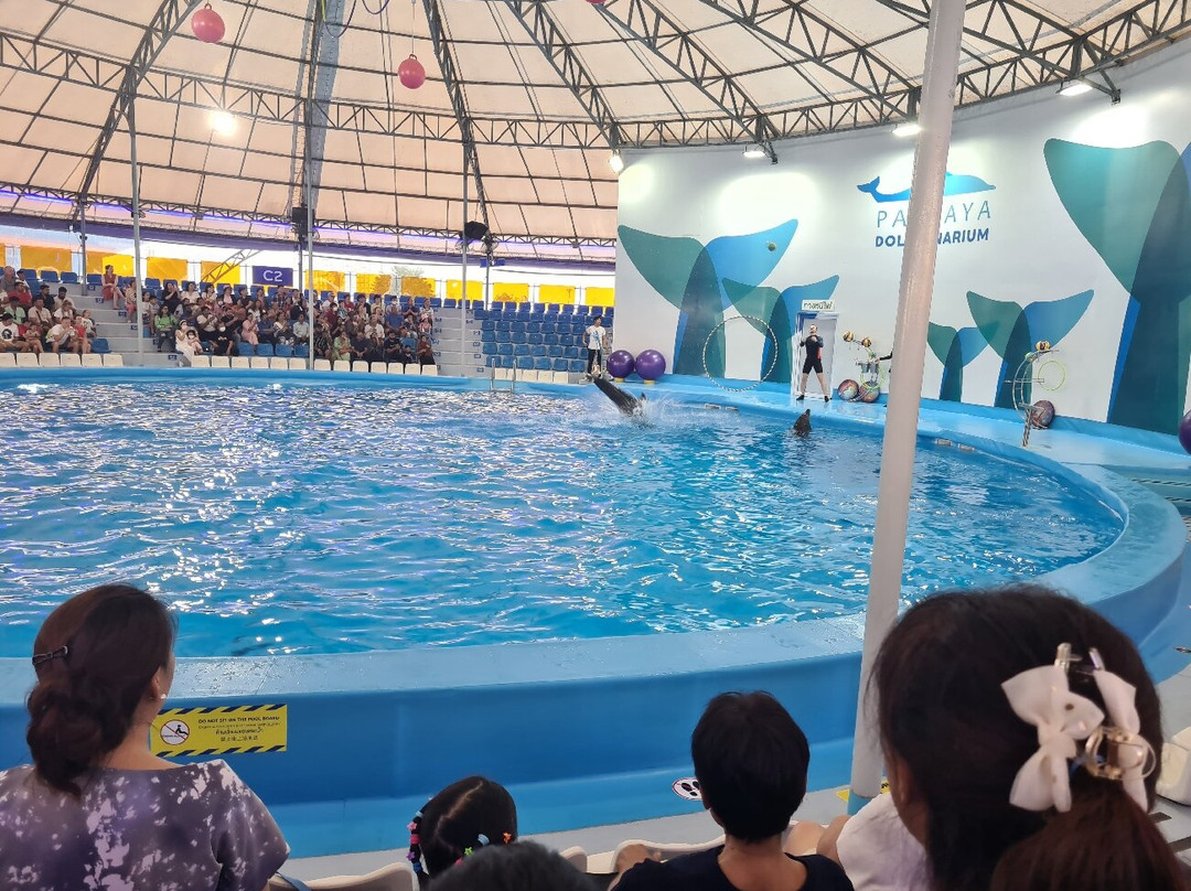 Pattaya Dolphinarium景点图片