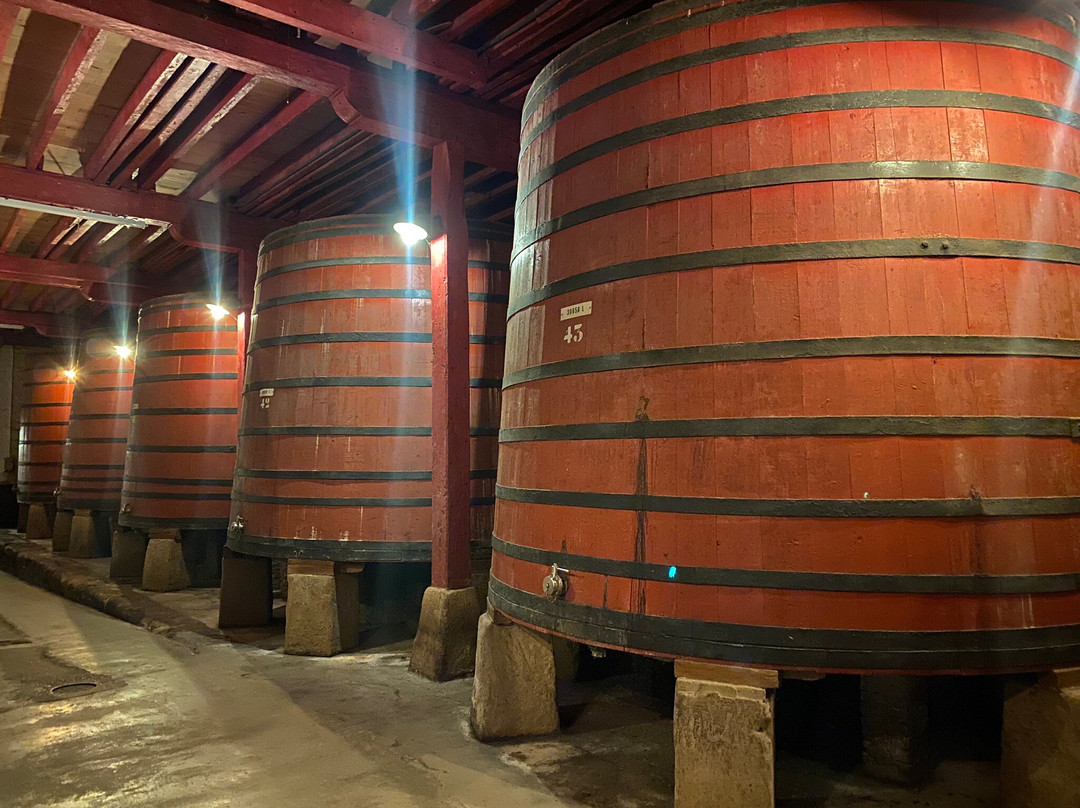 Bodegas Bilbainas-哈罗必去景点