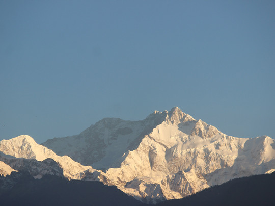 Retreat Crassula Ovata主图