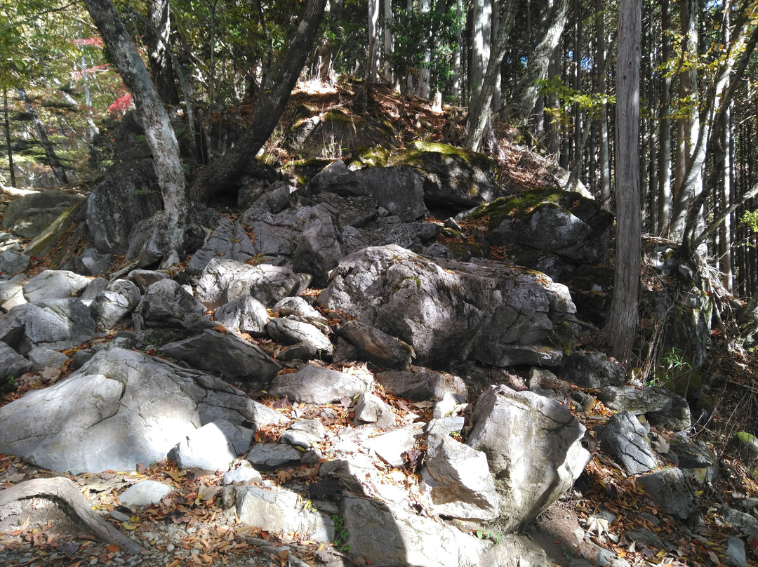 Mt. Kumotori-奥多摩町必去景点