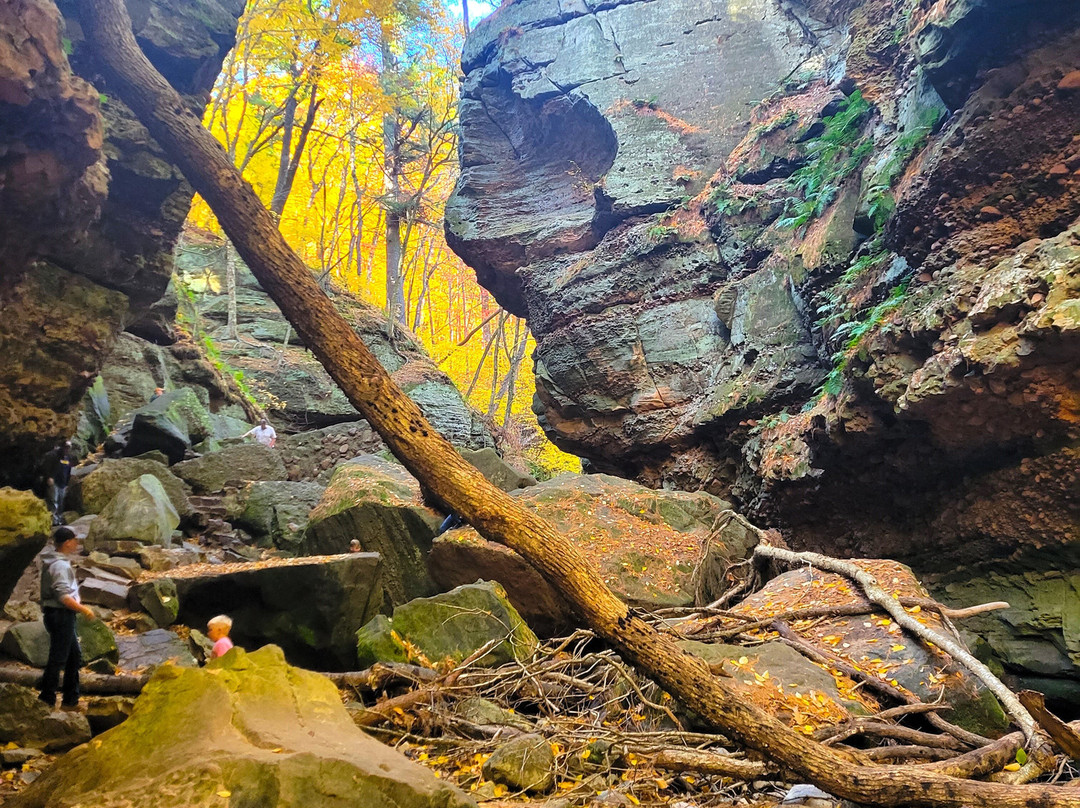 Parfrey's Glen-巴拉布必去景点