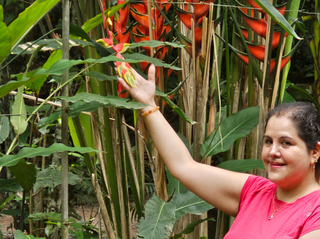 Mariposario Zhaveta Yard-拉梅尔塞必去景点