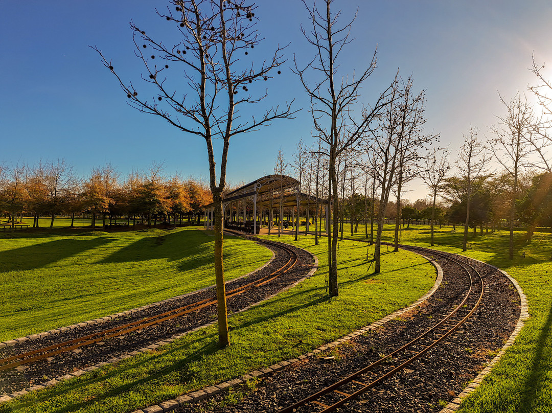 Winelands Light Railway-斯泰伦博斯必去景点