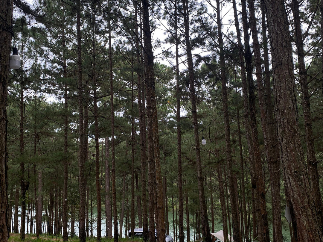 HIGHLAND ADVENTURE-DALAT ADVENTURE TOURS