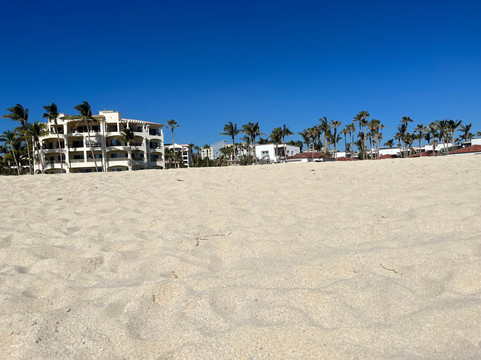 凯悦嘉轩-圣何塞主图