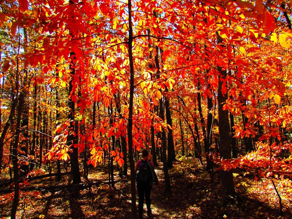 Excihiking Treks-罗阿诺克必去景点