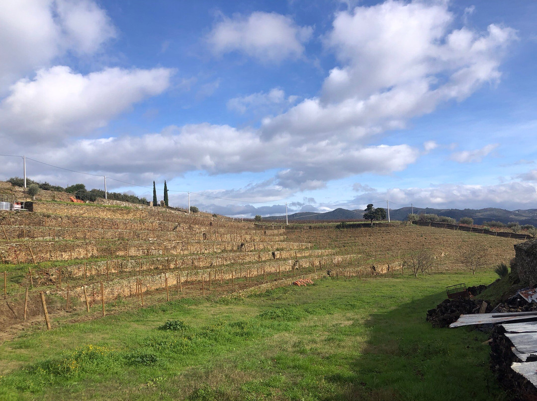 Quinta da Padrela景点图片