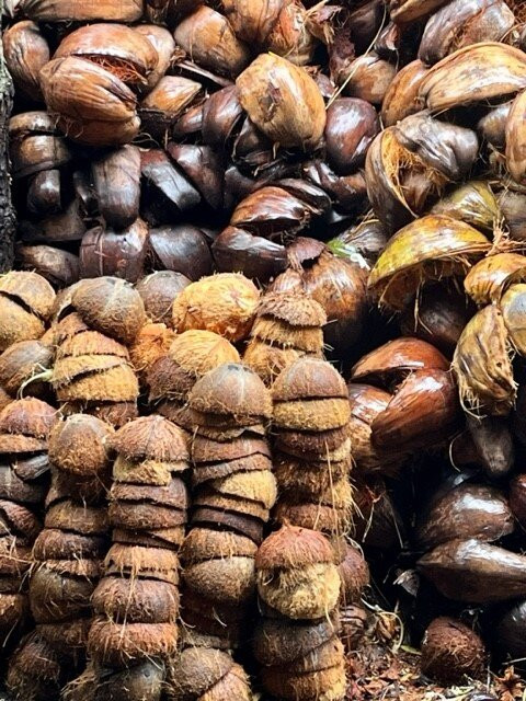 Nam Bo Tours-Ben Tre必去景点