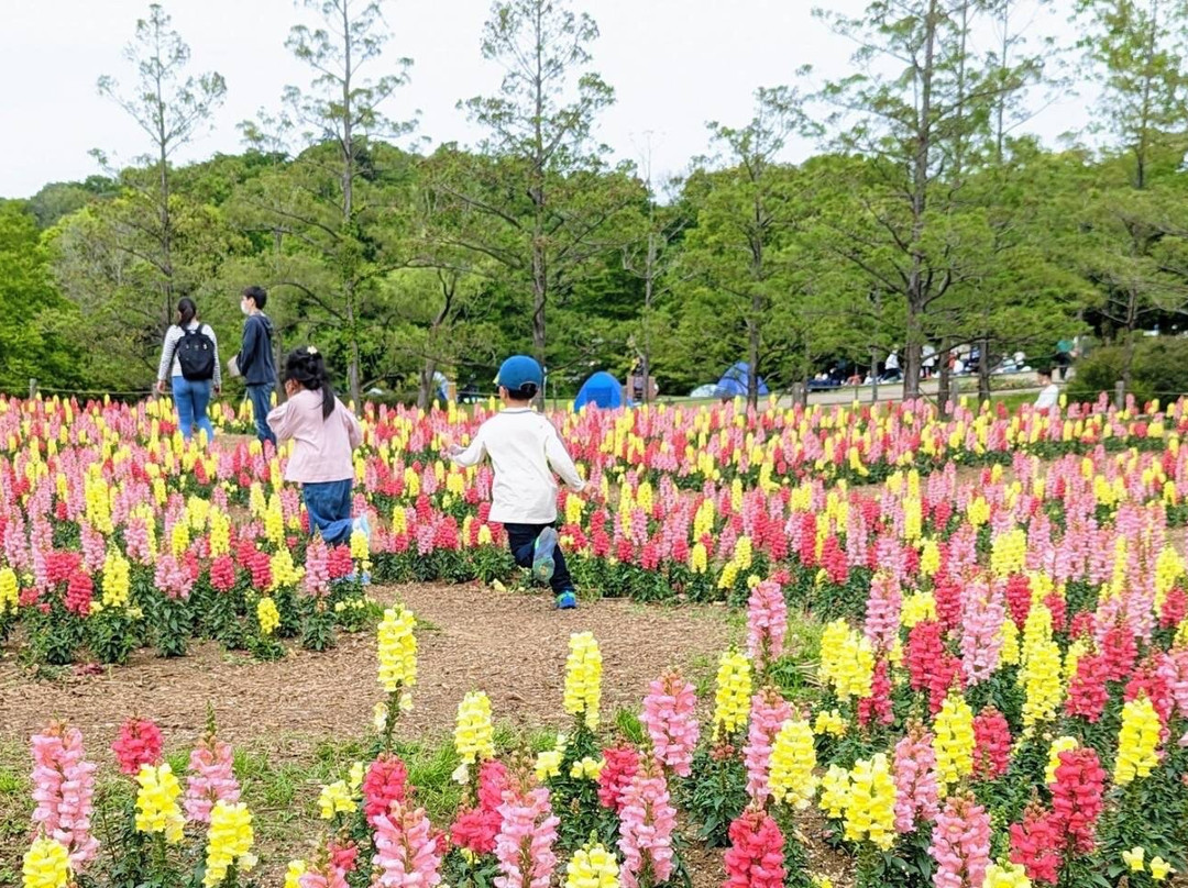 船桥安徒生公园-船桥市必去景点