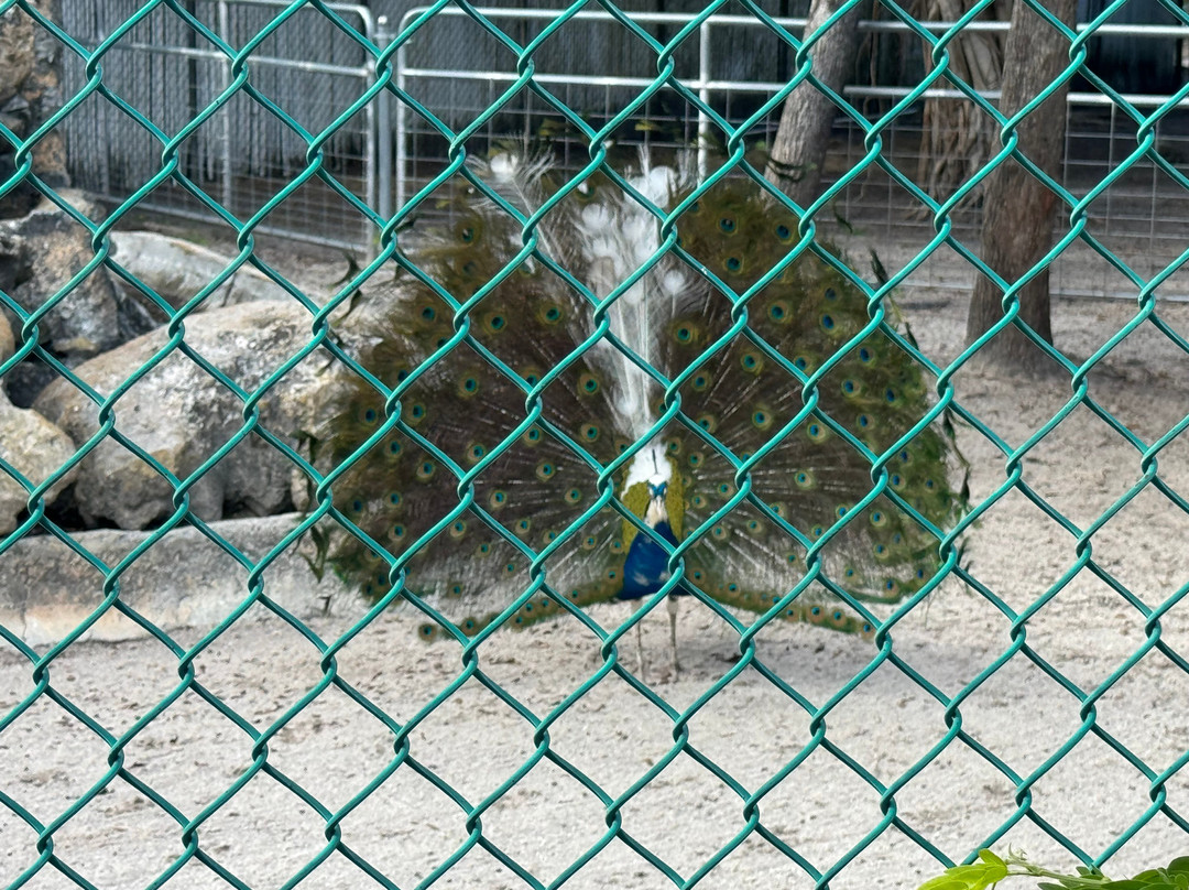 Shell Factory & Nature Park-North Fort Myers必去景点