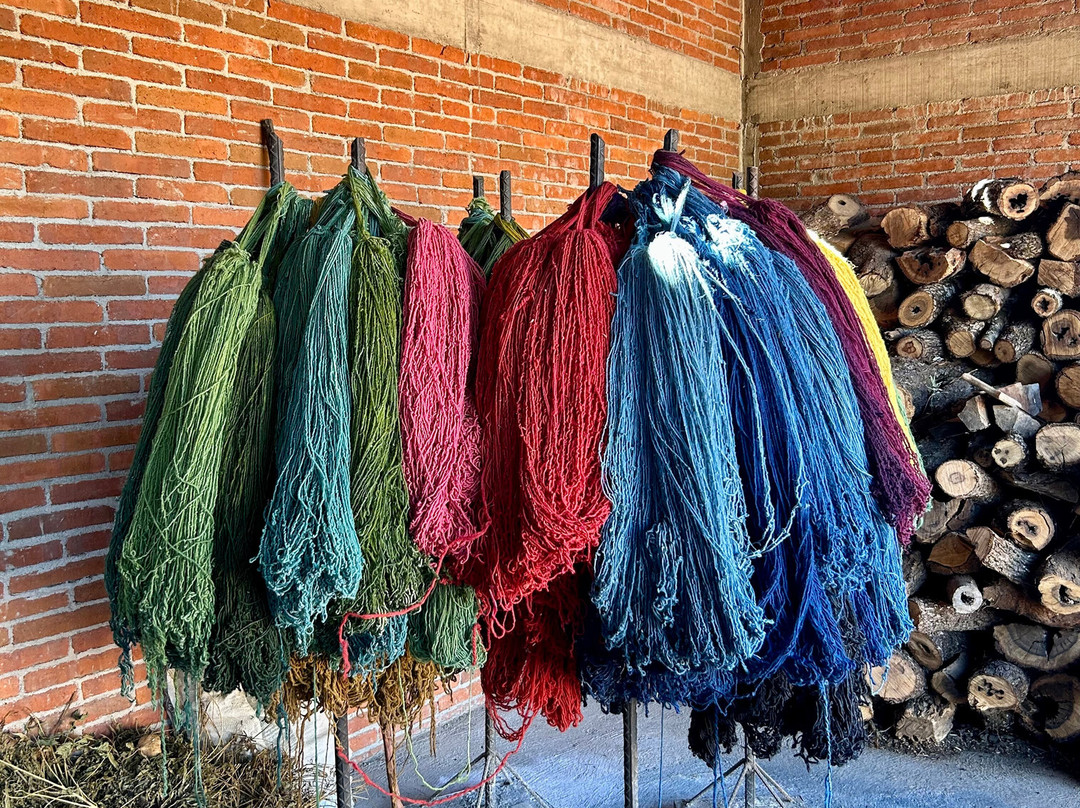 Wanderlust Oaxaca景点图片