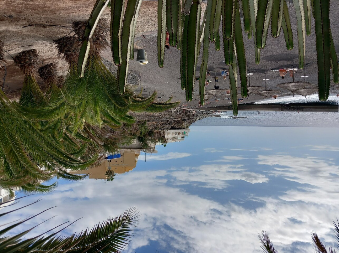 Tenerife-Direct-奥德杰海岸必去景点