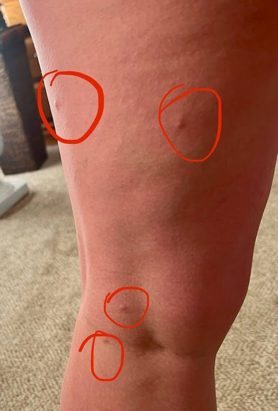 Sanibel Island Beach Resort主图