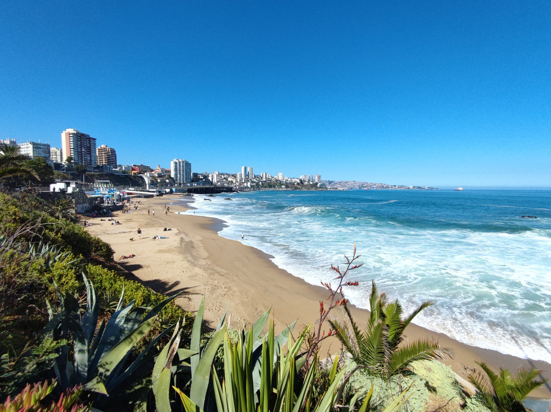 Playa Caleta Abarca景点图片