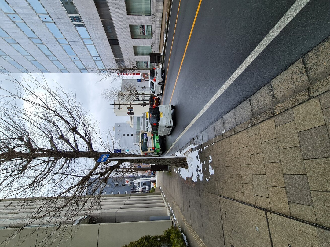 秋田站前里士满酒店主图