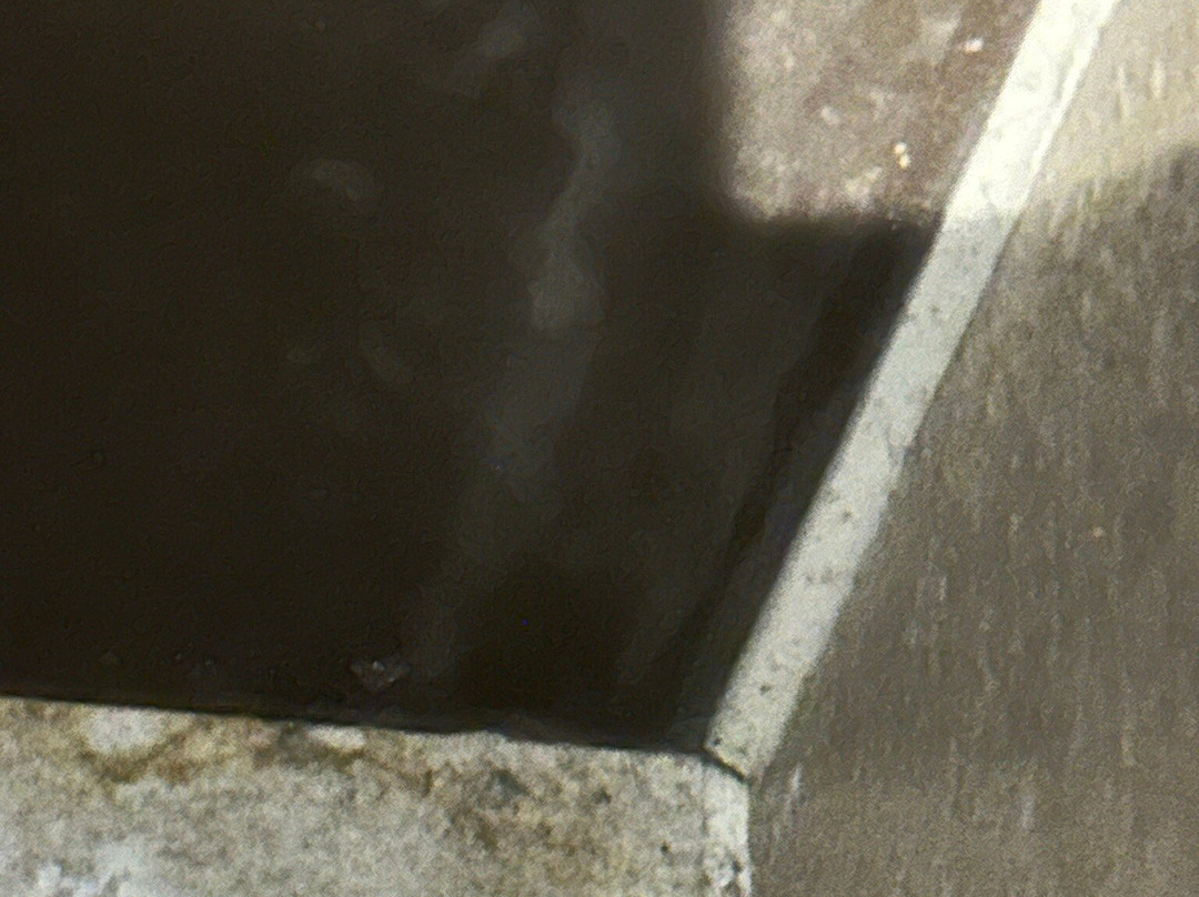 Staz Hotel Premier Dongtan主图