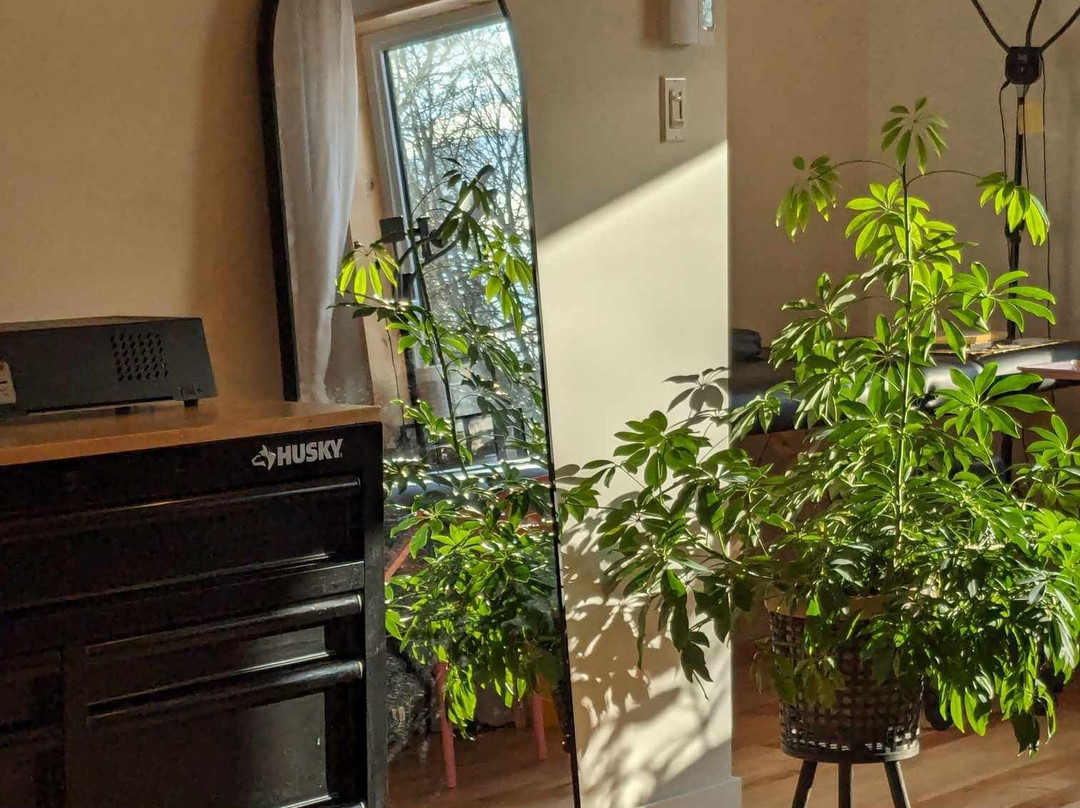 Studio La Citadelle-隆格伊必去景点