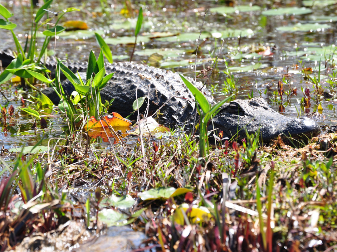 Ocmulgee Outdoor Expeditions-梅肯必去景点
