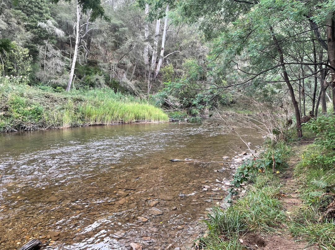 Doctors Creek Reserve-Jamieson必去景点