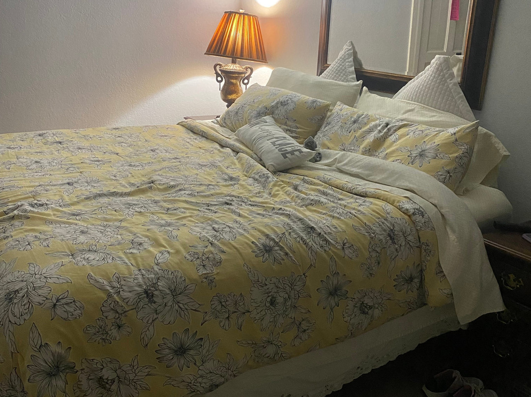 Angel's Nest Bed and Breakfast主图