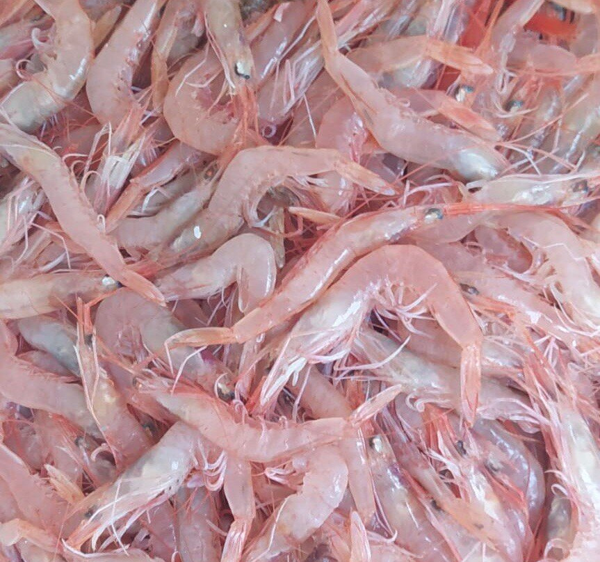 Mercato del Pesce景点图片