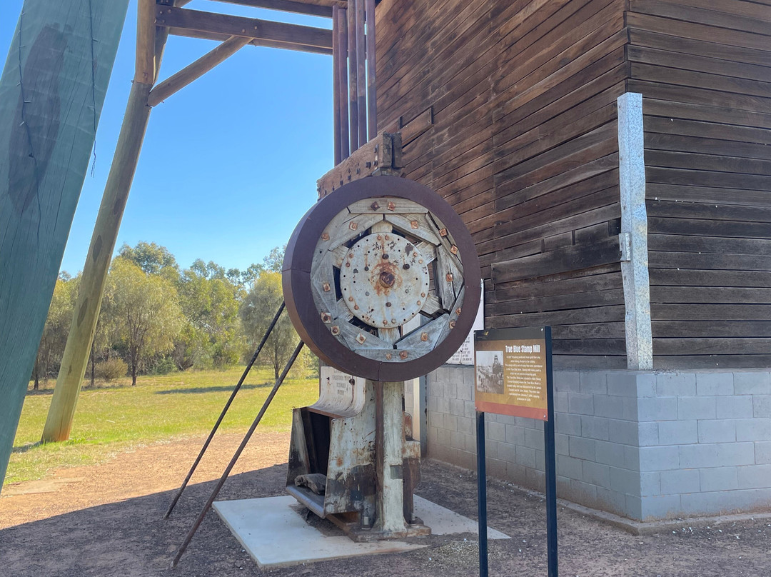 Cooinda Reserve-West Wyalong必去景点