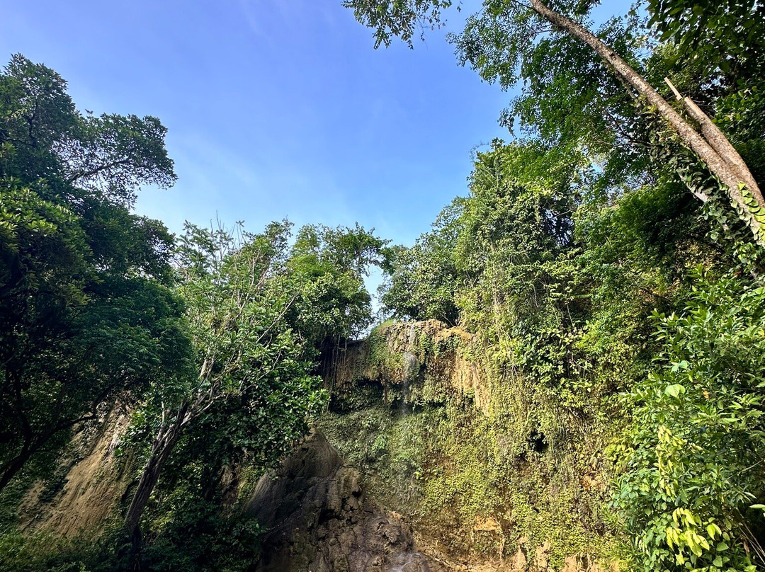 Kawasan Falls Bohol景点图片