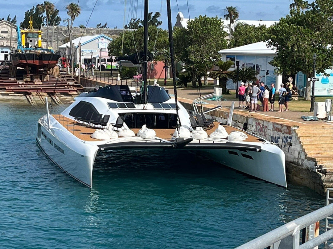 Sea Express Ferry Service-汉密尔顿必去景点