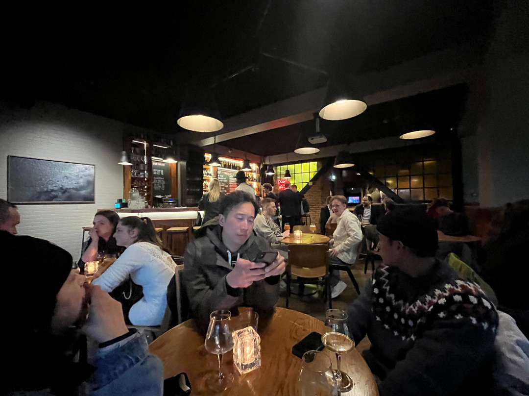 Skuli Craft Bar-雷克雅未克必去景点