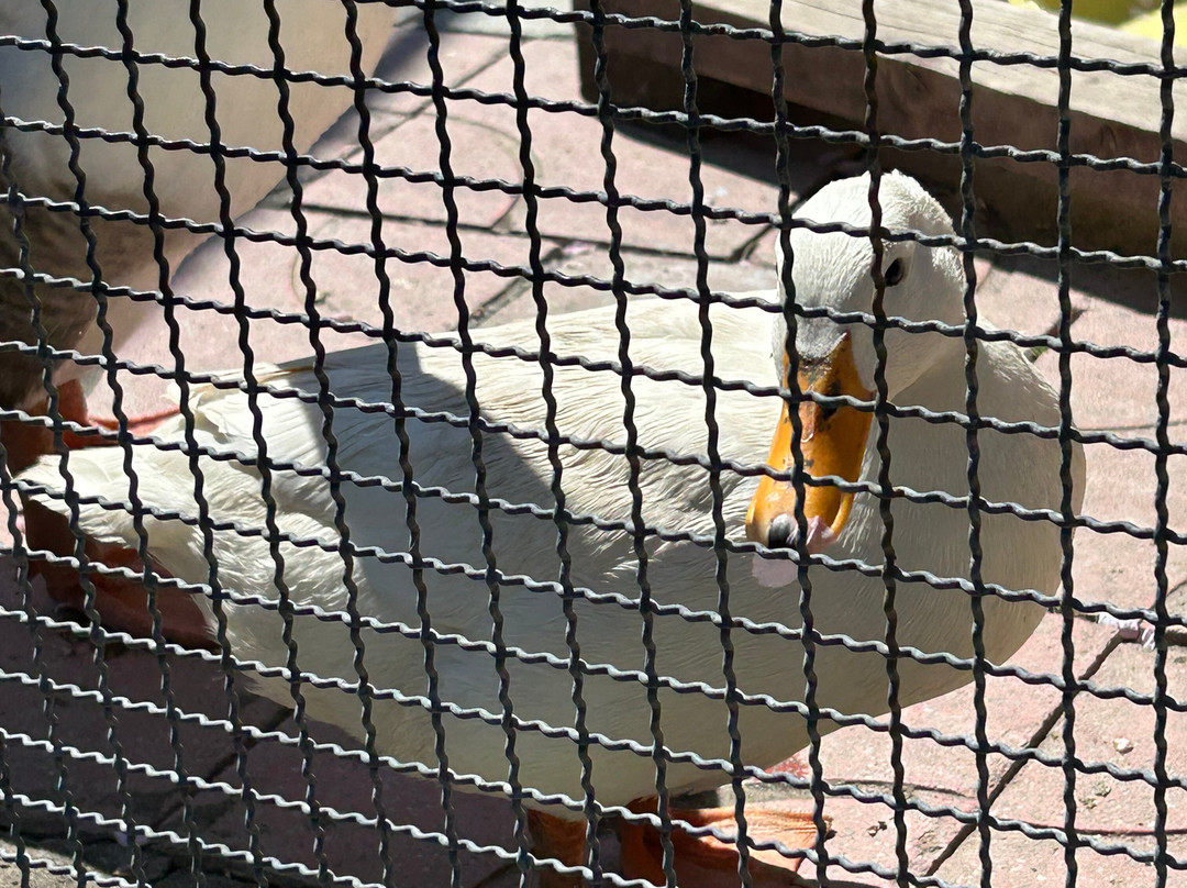 Nakayoshi Zoo-栗山町必去景点