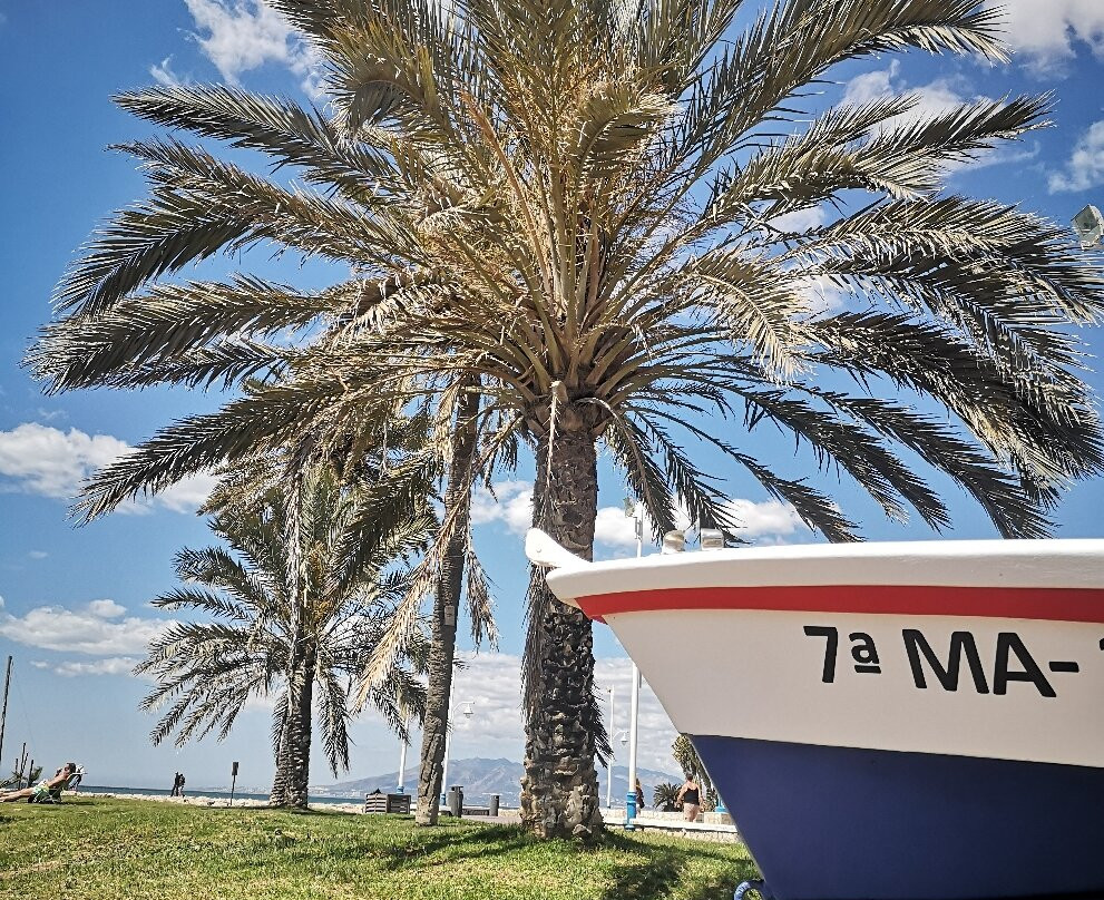 Playa del Palo景点图片