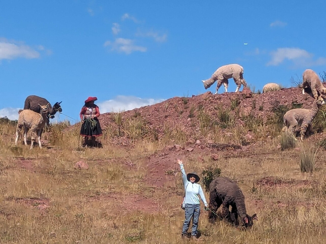Alpaca Trek Adventures-Chinchero必去景点
