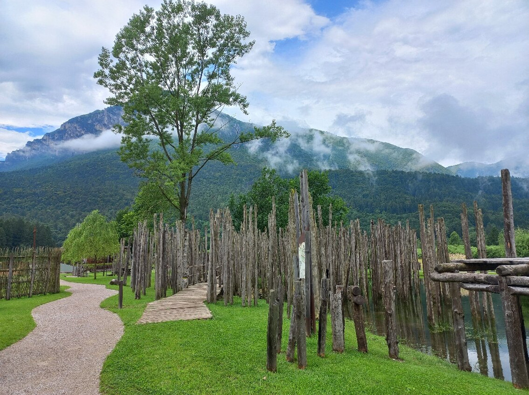 Parco Archeo Natura景点图片