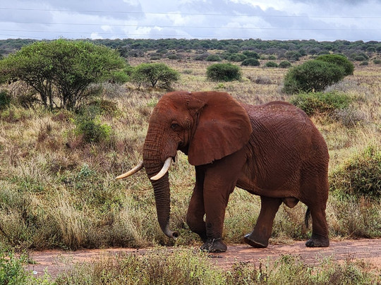 BONFIRE ADVENTURES-内罗毕必去景点