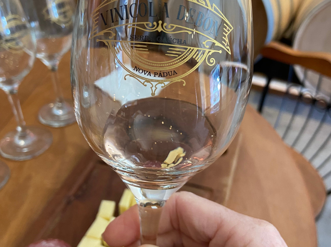 Vinícola Debon-Nova Padua必去景点