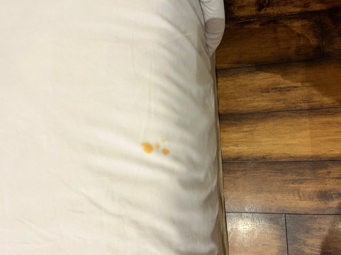 皇家度假屋酒店主图