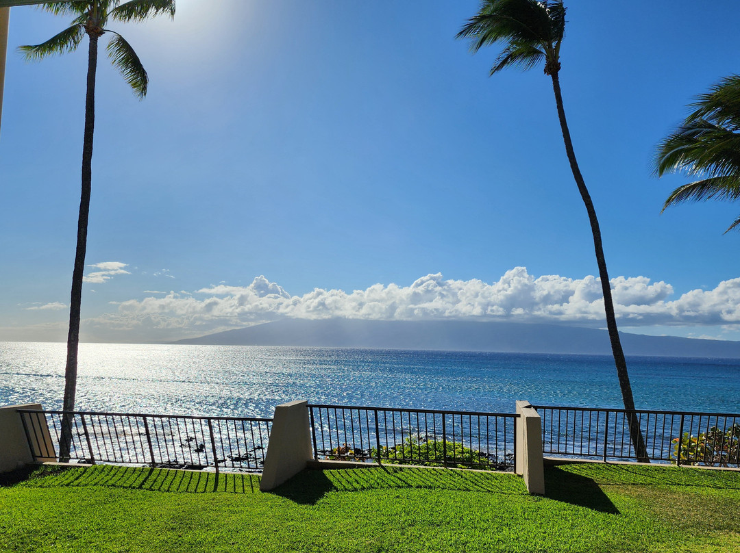 Napili Point Resort主图