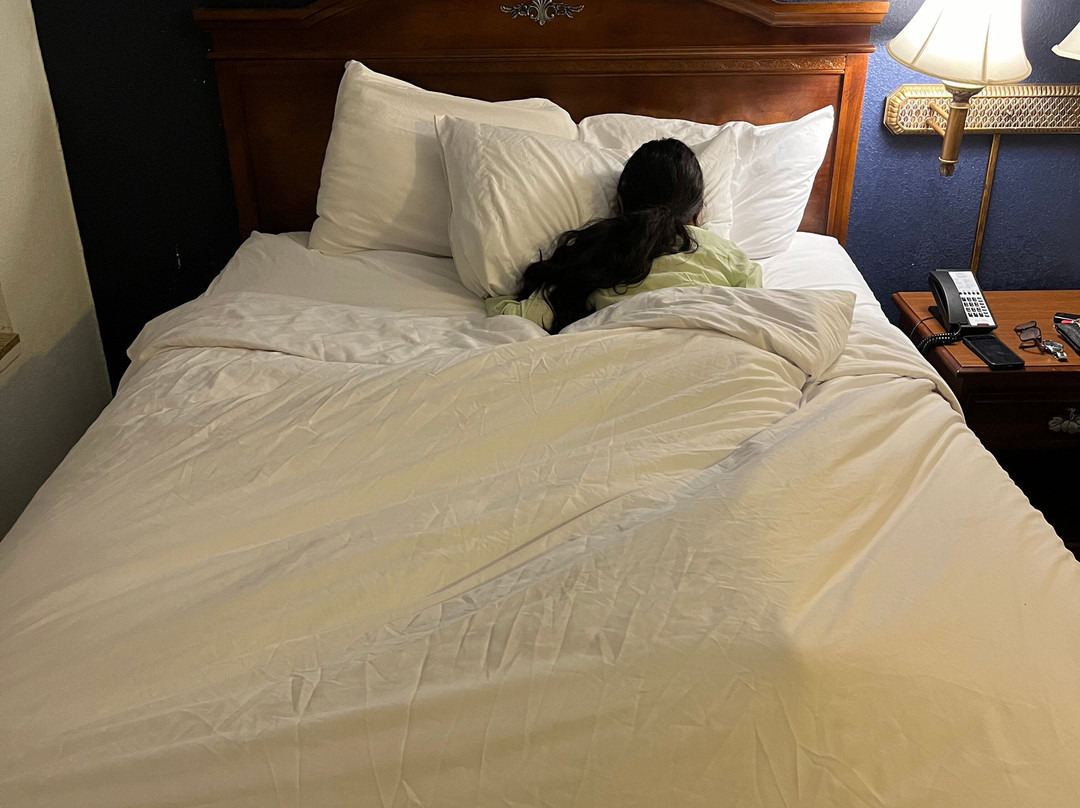 Wingate by Wyndham Youngstown主图