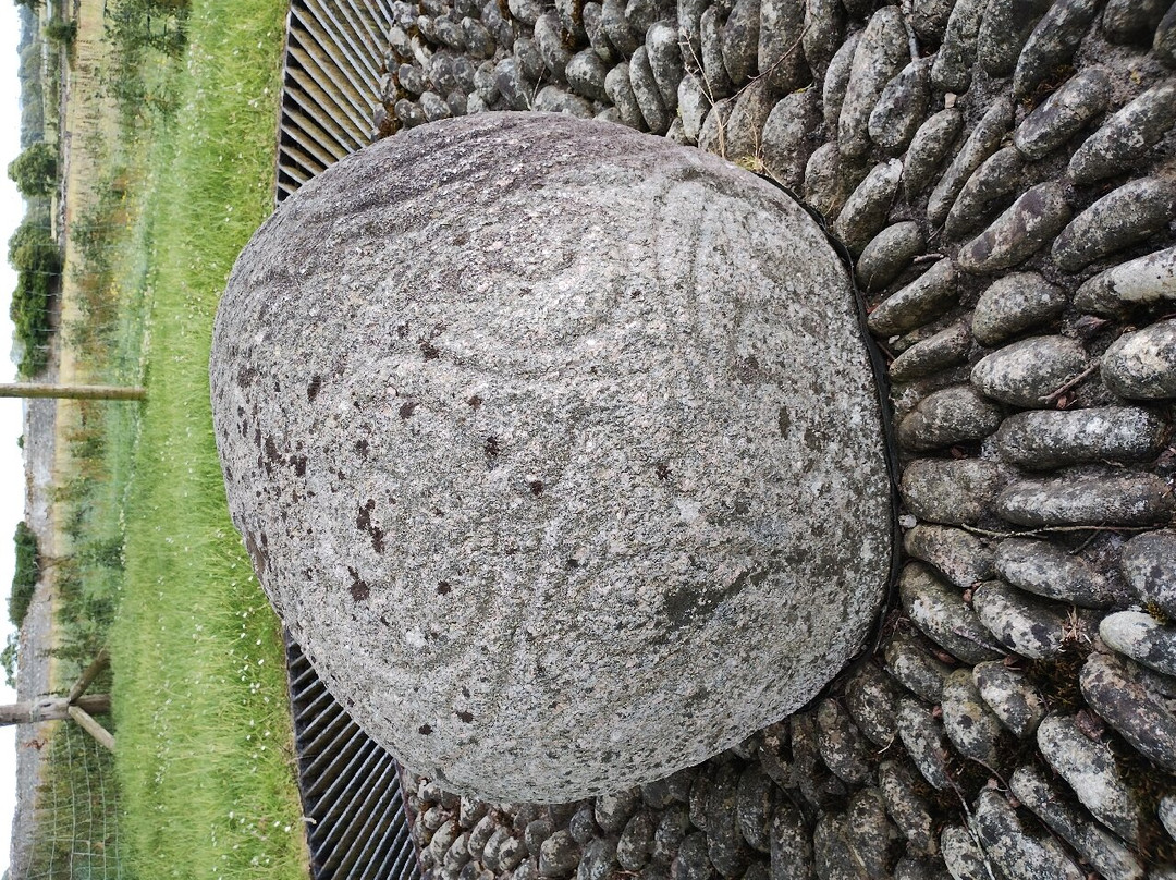 Castlestrange Scribed Stone-Boyle必去景点
