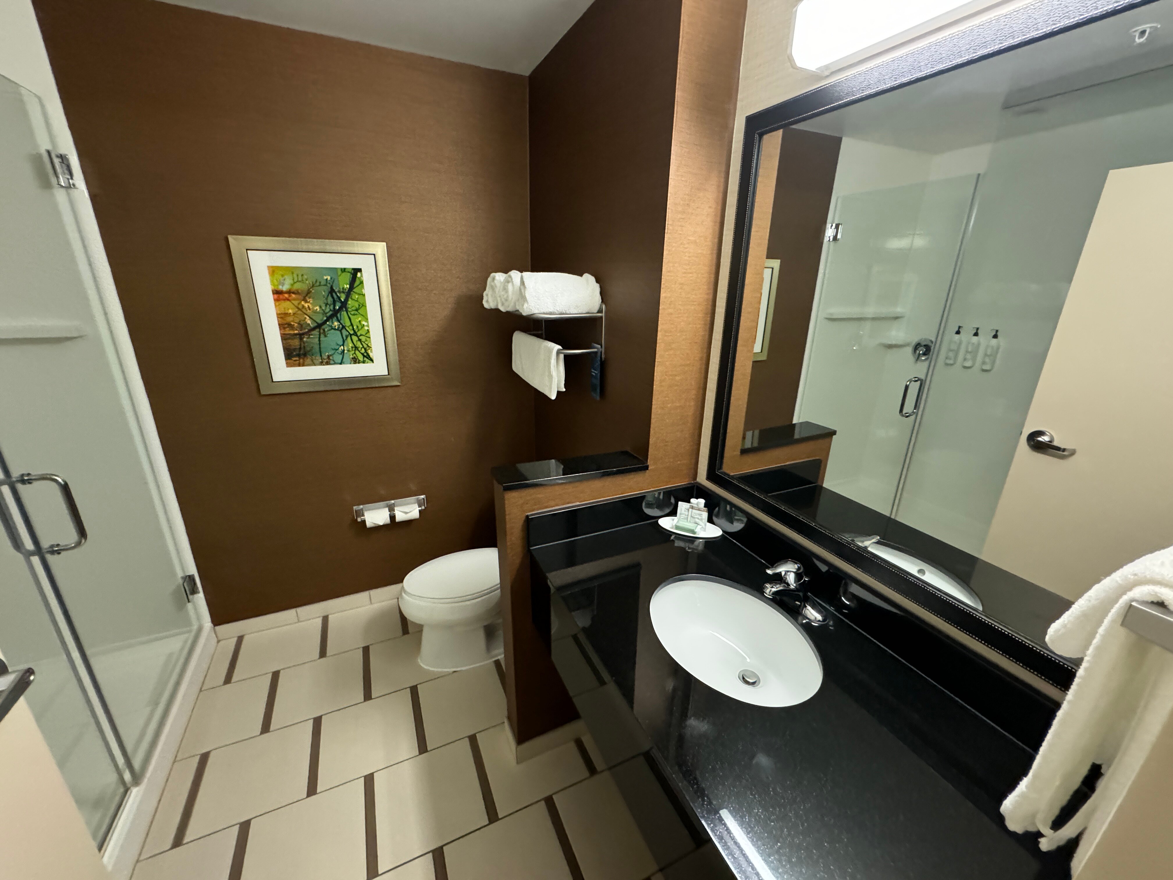 Fairfield Inn & Suites Rochester Mayo Clinic Area/Saint Marys-浴室